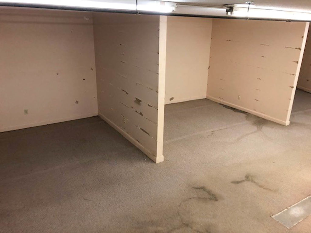 basement area